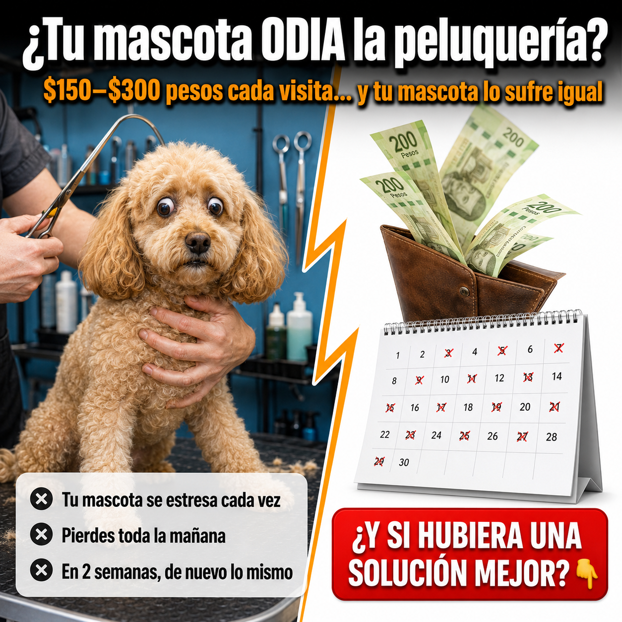PeluPet™ Pro | Cuida a Tu Mascota Sin Salir de Casa
