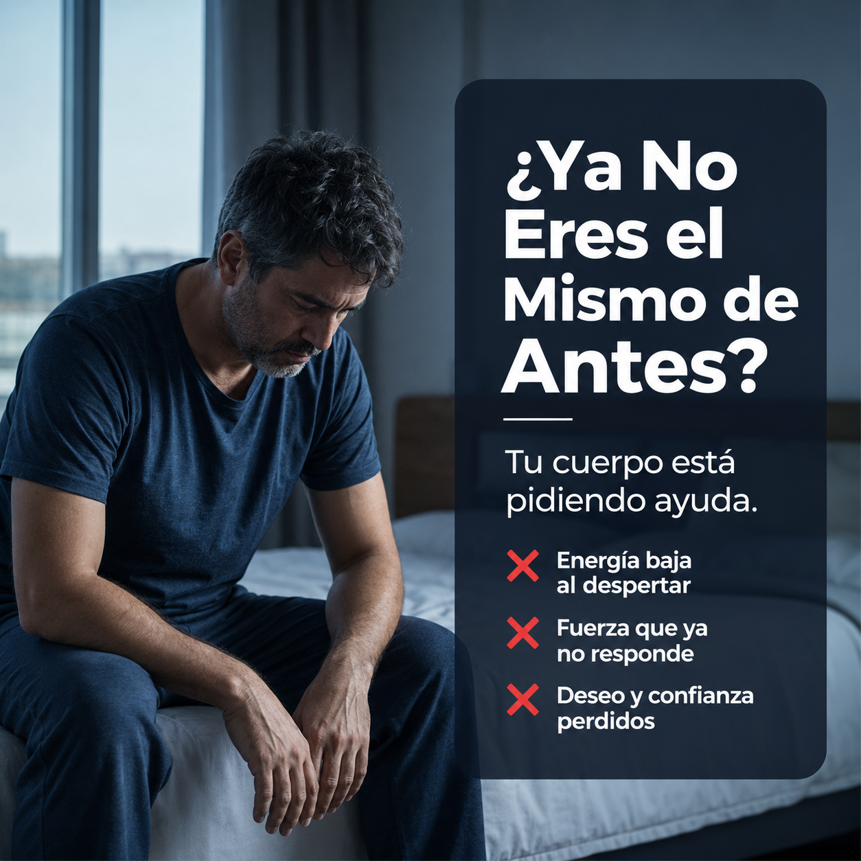 Selerb NAD+ Men's Complex | Energía Real y Vitalidad Masculina desde Adentro