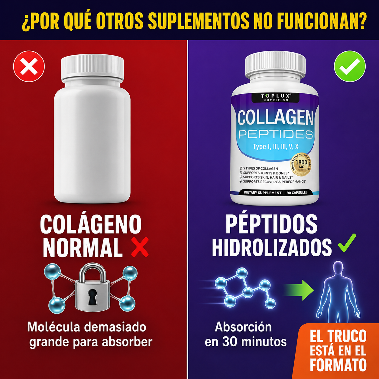 TOPLUX™ Collagen Peptides | Piel Firme, Articulaciones Fuertes y Cabello Sano en 8 Semanas