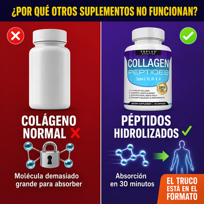 TOPLUX™ Collagen Peptides | Piel Firme, Articulaciones Fuertes y Cabello Sano en 8 Semanas