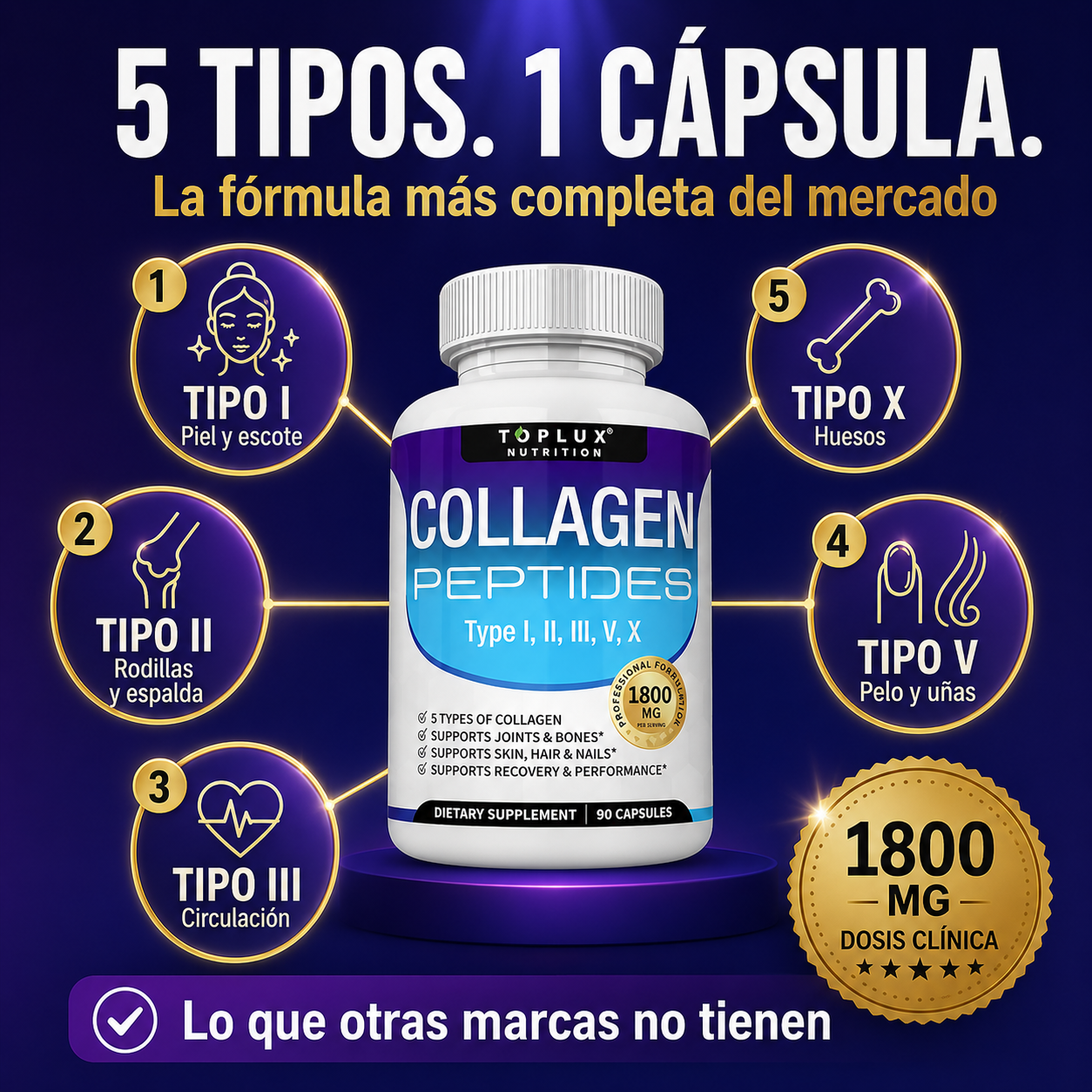 TOPLUX™ Collagen Peptides | Piel Firme, Articulaciones Fuertes y Cabello Sano en 8 Semanas